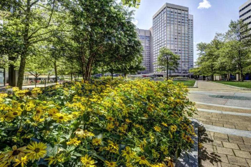 Chase Penthouse At 39 West Baltimore Inner Harbor Convention Center Free Indoor Parking One And Two Bedrooms Exteriér fotografie